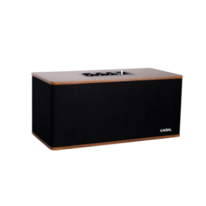 Kaural DS 501 Desktop Speaker